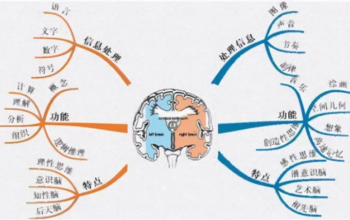 开云官网-麻省理工最新研究：父母多和娃聊天，能让大脑发育更好，更聪明